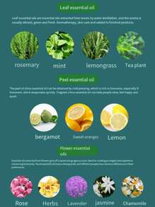 1 件 10ml 精油，适用于芳香扩散器、瑜伽工作室、植物提取物、水果和花卉香味，如茉莉花、薰衣草、玫瑰，适用于客厅和浴室除臭、芳香疗法、家居清新剂、扩散器、礼物、家居装饰 - 其他 - 查看 11