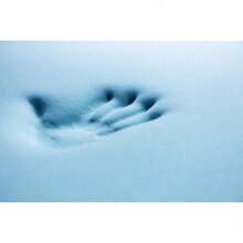 Memory Foam Mattress Topper - 2 Inch Or 3 Inch Gel Infused Cooling Mattress Pad - Twin XL - View 9
