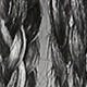 Gray Ombre