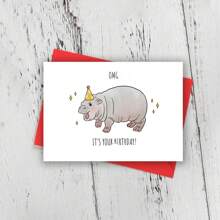 河马生日贺卡，有趣可爱的动物贺卡，送给男朋友、女朋友、丈夫、妻子、她的生日礼物，不寻常的物品，礼品卡 - 多色 - 查看 1