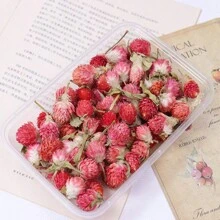 1 pacote (30g) Material de flores secas naturais - botões de rosa espinheiro vermelho, miosótis azul, decoração de flores preservadas para café, restaurante, mesa, sabonete faça você mesmo, vela, artesanato floral