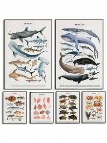 1 件鲸鱼和鲨鱼贝壳海龟章鱼鱼海洋生物海洋动物海报帆布画墙壁艺术图片家居装饰无框架 - 彩色 - 查看 1