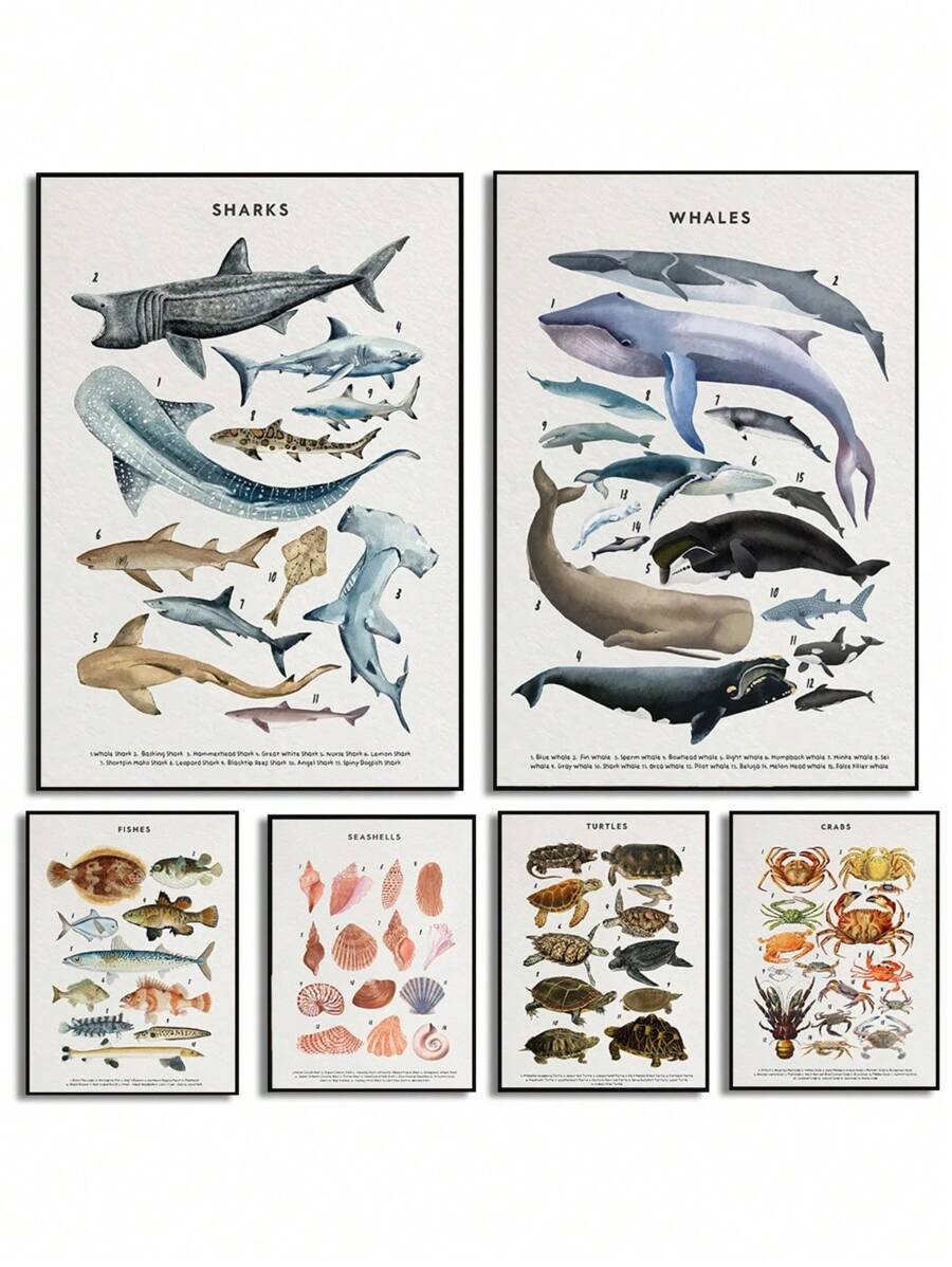 1 件鲸鱼和鲨鱼贝壳海龟章鱼鱼海洋生物海洋动物海报帆布画墙壁艺术图片家居装饰无框架 - 彩色 - 查看 1