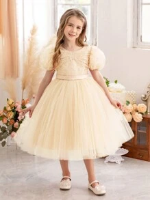 年轻女孩泡泡袖刺绣网眼派对礼服，优雅公主礼服，适合女孩生日、婚礼、派对、新娘送礼会、节日庆典、表演服装