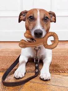 Indestructible Dog Chew Toy - Extremely , Great For Chewers - Perfect Size For Medium & Large Breeds, Dental Cleaning Design, Random Bone Color Distribution, Not Fixed - Brown - View 5