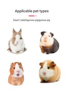 针织豚鼠三角帽，1/4 片装宠物摄影装饰仓鼠帽，宠物装饰帽，圣诞宠物帽，仓鼠帽，豚鼠帽，兔子帽，2025 宠物礼物，2025 儿童礼物，装扮宠物的必备帽子 - 彩色 - 查看 3