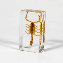 50+ Pcs Large (7.3cm) Transparent Resin Insect Stag Beetle, Spider, Scorpion, Rhinoceros Beetle, Hornet, Wasp Model, Spider Octagon Monster Creative Bookend Decor, Primitive Forest Giant Arthropod Centipede Model, Magical Nature Real Rare Various Insects, High Transparency Permanent Preserved Transparent Resin Natural Insect Creative Small Decor, Gift - Multicolor - View 25