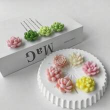 1 pieza Molde de silicona con forma de cactus suculento - Blanco - Ver 5