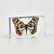 50+ Pcs Large (7.3cm) Transparent Resin Insect Stag Beetle, Spider, Scorpion, Rhinoceros Beetle, Hornet, Wasp Model, Spider Octagon Monster Creative Bookend Decor, Primitive Forest Giant Arthropod Centipede Model, Magical Nature Real Rare Various Insects, High Transparency Permanent Preserved Transparent Resin Natural Insect Creative Small Decor, Gift - Multicolor - View 29