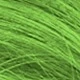 Louva-Deus (Verde Neon)