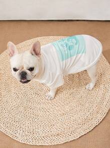 Vêtement classique de couleur unie avec imprimé de patte pour animaux de compagnie. Chemise à quatre pattes en maille respirante pour l'été, pour Caniche, Bichon Frisé