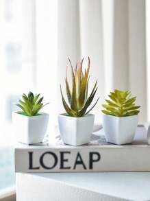 5 件/套人造多肉植物，芦荟盆栽装饰套装，适合送礼、室内桌面装饰、婚礼装饰 - 模擬 - 查看 9