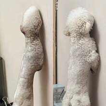 A Personalized Pet Pillow Pet Toy, The Best Gift For Christmas, Halloween, Valentine's Day, Suitable For Boyfriends, Girlfriends, Friends, Couples, Birthdays And Family Gifts, Customizable Styles, Multiple Choices - Upload Pictures to Customize Pillows - View 4