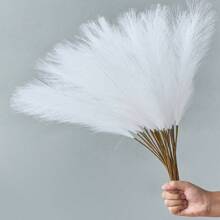 50/30/20/10/5/3/1pc Cỏ Pampas nhân tạo, Cỏ Pampas nhân tạo, Hoa Pampas trang trí Boho lộng lẫy và lọ hoa trang trí sàn cho phòng tiệc cưới, Trang trí cỏ Pampas tối giản và thanh lịch, Cỏ Pampas giả thực sự đẹp để trang trí nhà cửa, Trưng bày ở hành lang, nhà bếp, phòng khách, phòng ngủ, phòng trước, phòng ăn, Trang trí đám cưới, Quà tặng tuyệt vời cho năm mới, ngày lễ tình nhân, Quà tặng sinh nhật, Tốt nghiệp, Trang trí mùa thu, Mùa thu - Nhiều màu - Xem 6