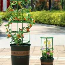 Green Plastic Plant Support Stakes, Semi-Circular Plant Support Rings, Climbing Plant Tomato Cages, Flower & Vegetable Vines, Potted Plant & Garden Trellis