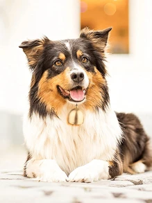 1pc Solid Copper Wind Chime With Clapper Bell, Metal Small Copper Bell, Wind Chime DIY Materials, Bell, Anti-Theft Bell - Gold - View 4