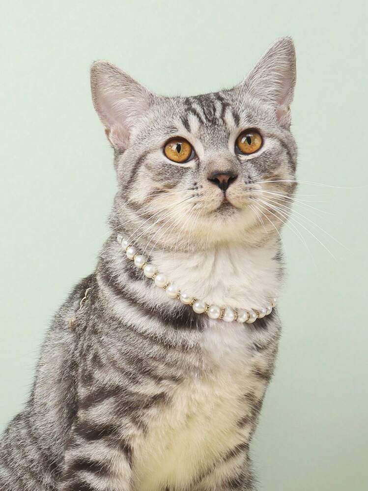 A Fashionable Fine Rhinestone Claw Print Pendant Necklace For Cats And Dogs, Suitable For Pet Cats And Dogs To Use At Home And Outdoors - Silver - View 8