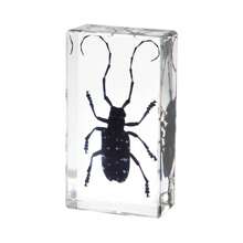 50+ Pcs Large (7.3cm) Transparent Resin Insect Stag Beetle, Spider, Scorpion, Rhinoceros Beetle, Hornet, Wasp Model, Spider Octagon Monster Creative Bookend Decor, Primitive Forest Giant Arthropod Centipede Model, Magical Nature Real Rare Various Insects, High Transparency Permanent Preserved Transparent Resin Natural Insect Creative Small Decor, Gift - Multicolor - View 30