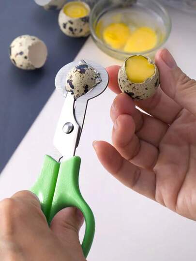 1 件/2 件不锈钢鹌鹑蛋剪刀，鸡蛋切刀，新型鸟蛋剪刀，鸡蛋切割工具