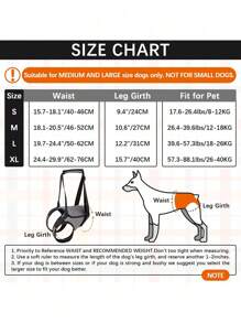 Arnés elevador ajustable para perros grandes, con acolchado suave, soporte para patas traseras para perros con discapacidad, lesiones en las articulaciones o de edad avanzada - Gris - Ver 14
