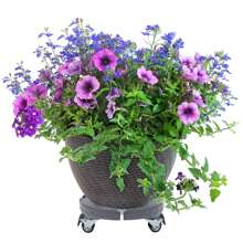 LILIIN Adjustable Plant Roller Round, 360° Rotating Wheels, Non-Slip PP Panel Rolling Board For Flower Pots And Furniture, Load Capacity 300 Kg (Black / Gray)