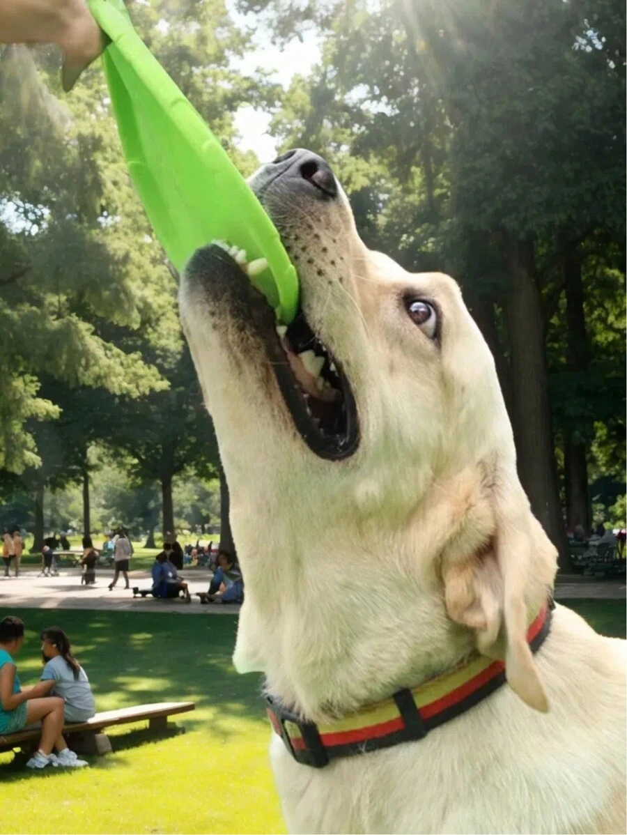 3pcs Pet Dog Bite-Resistant Floating Soft Pet Supplies Interactive Toy