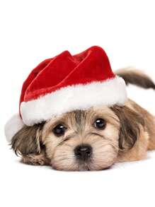 3pcs Santa Bag + Santa Hat Set, Red Gift Bag Reusable Tether Bag, Holiday Santa Hat Suitable For Adults And Children Christmas Party Supplies - Multicolor - View 3