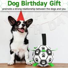Jouet Pour Chien Avec Une Sangle Tissée À Football, Jouet De Balle Régulier Interactif Intérieur-extérieur Pour Chiens De Toutes Tailles