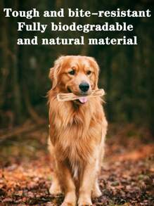 1pc Natural Coffee Wood Dog Chew Stick - Durable Teeth Health Chewing Toy, Suitable For All Breeds, Multiple Size Packaging, Suitable For Chewing And Playing - Beige - View 5