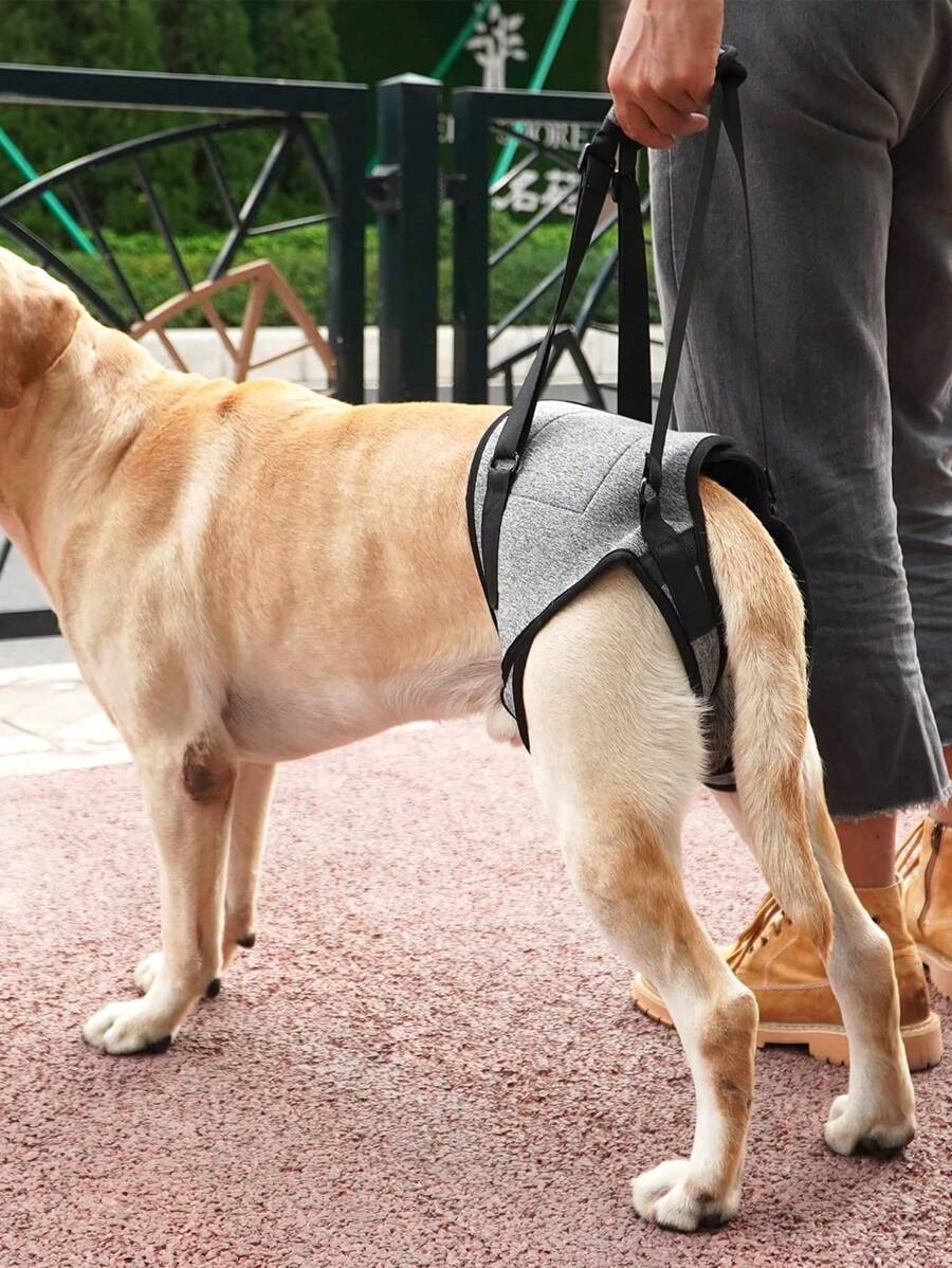 Arnés elevador ajustable para perros grandes, con acolchado suave, soporte para patas traseras para perros con discapacidad, lesiones en las articulaciones o de edad avanzada - Gris - Ver 1