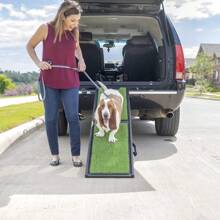 Natural Step Ramp For Vehicles Is 72 Inches Long And Comes In Green. It Provides A Convenient And Safe Way For Pets Or People With Mobility Issues To Access Vehicles. The Natural Design Blends Well With The Environment And Offers A Sturdy And Reliable Solution. - 1 - View 7