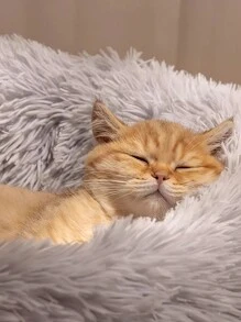 1 件随机颜色圣诞宠物窝，猫床，狗床，圆形毛绒宠物窝，全年温暖舒适，加厚隔热狗垫，猫深度睡眠床 - 彩色 - 查看 6