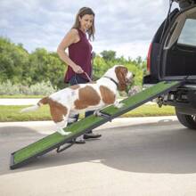 Natural Step Ramp For Vehicles Is 72 Inches Long And Comes In Green. It Provides A Convenient And Safe Way For Pets Or People With Mobility Issues To Access Vehicles. The Natural Design Blends Well With The Environment And Offers A Sturdy And Reliable Solution. - 1 - View 6