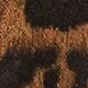 豹紋棕色