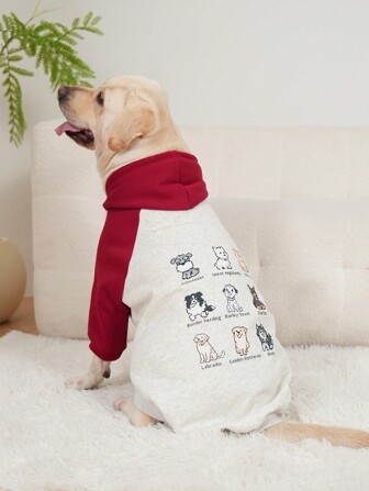 Abbigliamento per animali domestici, vestiti per cani di grossa taglia, vestiti colorblock per cani, felpe imbottite per cani, abbigliamento per gatti, adatti per cani da 10 a 100 libbre