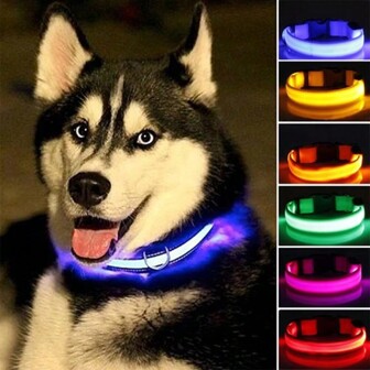 (1pc) Hot Selling New Product Super Bright LED Dog Collar! The Unique Adjustable Battery Mode Lights Up Like A Seatbelt Light, Creating Cool And Travel Gear For Your Dog.