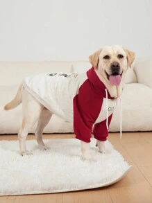 宠物服装 狗狗服装 大型犬服装 狗狗拼色服装 狗狗加厚运动衫 猫服装 适合 10 磅至 100 磅的狗狗 - 紅色 - 查看 11