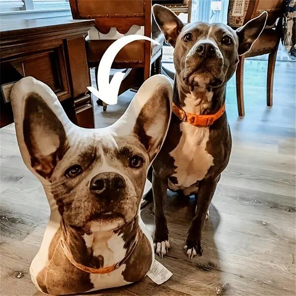A Specially Designed Pet Pillow, Personalized Pet Toy - Comfort Gift, Unique And Cute Pet Photo Sofa Pillow, Suitable For Halloween And Christmas Decoration.