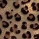 Small Leopard Print