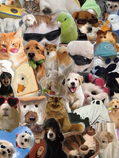 50 件可爱卡通动物猫狗表情包牛仓鼠趣味透明贴纸 PET 贴纸适用于手机笔记本电脑剪贴簿日记本汽车摩托车瓶子手提箱装饰生日圣诞礼物