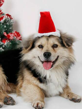 ABLAZE ZAI 1pc Red Santa Claus Hat Made Of Short Plush Fabric, Suitable For Cats And Dogs Holiday Costumes