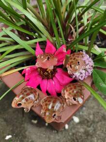 5pcs/10pcs/2pcs/Set Resin 3D Polychrome Frog Garden Decor, DIY Miniature Landscape Accessories, Desktop Decoration, Scene Decoration, Holiday Decoration,Horticultural Ornaments, Room Decoration, Home Decoration, Office Decoration, Theme Party Decoration, Flower Pot Decoration And Gifts,Aquarium Fish Tank Decoration Animals