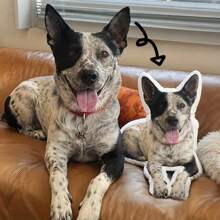 Cool Custom Pet Pillows, Highly Realistic Pet Toys, Suitable For Bed And Car Decoration | Machine Washable, Zippered Closure | Perfect Gifts For Family And Friends On Thanksgiving And Christmas Washable Cute Custom,Unique,Personalized Ideal Gifts For Family Pets Bed,Living Room,Tea Room,Sofa