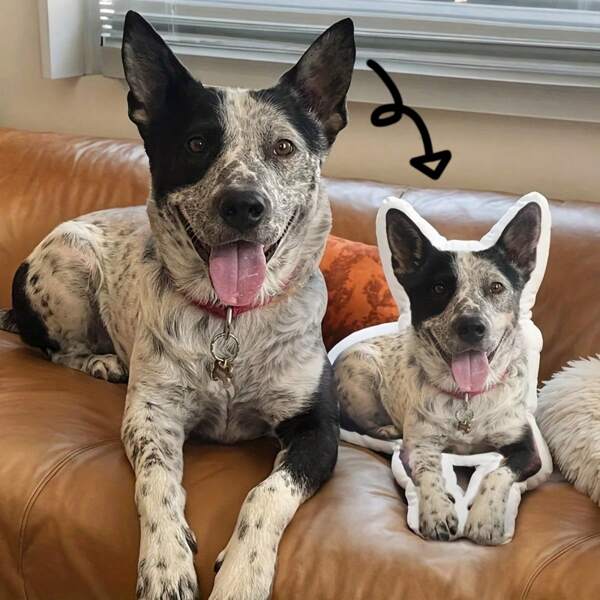 Cool Custom Pet Pillows, Highly Realistic Pet Toys, Suitable For Bed And Car Decoration | Machine Washable, Zippered Closure | Perfect Gifts For Family And Friends On Thanksgiving And Christmas Washable Cute Custom,Unique,Personalized Ideal Gifts For Family Pets Bed,Living Room,Tea Room,Sofa