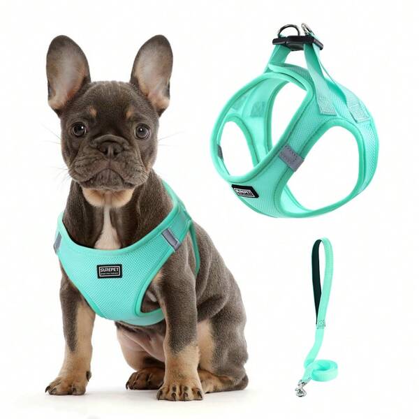 Arnês para cães respiráveis e refletivos com conjunto de coleira, cinta peitoral para cães, colete para cães sem puxar com corda para caminhar