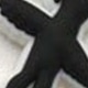 彩色
