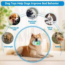 Um brinquedo de mastigação e chocalho com design de urso fofo para animais de estimação, brinquedo interativo para cachorro, brinquedo de companhia para cachorro, brinquedo resistente e à prova de mordidas