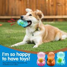 Um brinquedo de mastigação e chocalho com design de urso fofo para animais de estimação, brinquedo interativo para cachorro, brinquedo de companhia para cachorro, brinquedo resistente e à prova de mordidas