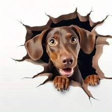 4 合 1 腊肠犬贴纸，腊肠犬粉丝汽车礼品贴纸，新司机汽车贴纸包 - 彩色 - 查看 6