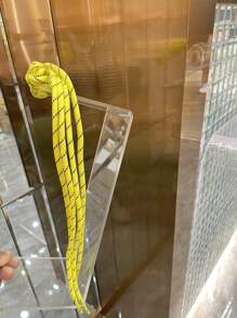 6毫米宽 x 120毫米长圆形鞋带，多种颜色可选，用途广泛，适用于靴子、运动鞋、徒步鞋、工作鞋，男女通用。 - 120cm - 查看 18